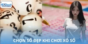 Bí Quyết Chọn Số Đẹp Khi Chơi Xổ Số 8XBET Hay Nhất 2026