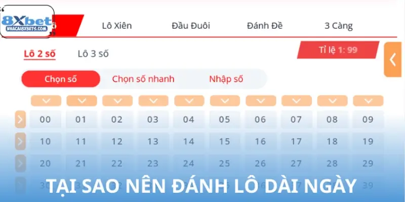 Tại sao đánh lô dài ngày lại là lựa chọn của cao thủ 8XBET?